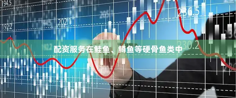 配资服务在鲑鱼、鳟鱼等硬骨鱼类中
